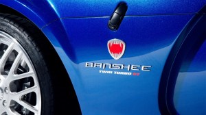 bbanshee-logo-660